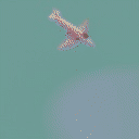 airplane